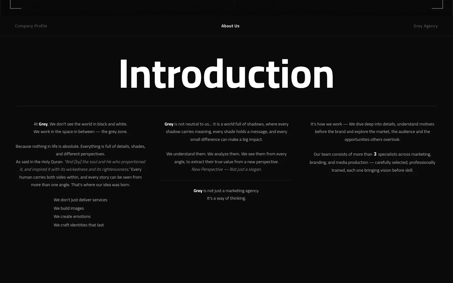 Grey Agency introduction / about section